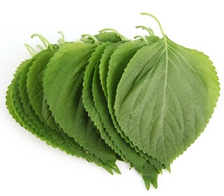 깻잎(100g) 실물 상품 이미지